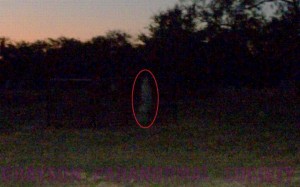thurber apparition